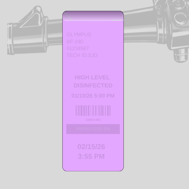 2.2" x 10" Purple Hang Tags