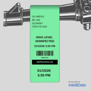 2.2" x 10" Green Hang Tag