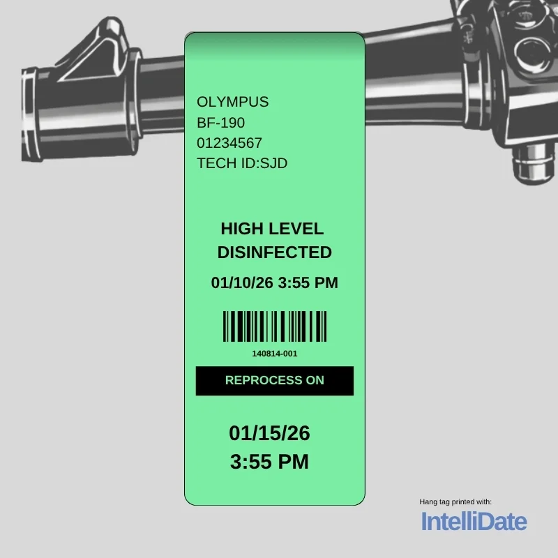 2.2" x 10" Green Hang Tag